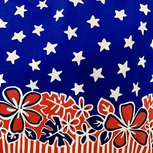 American Border Print