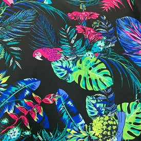 Birds in Paradise