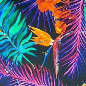 Neon Birds in Paradise