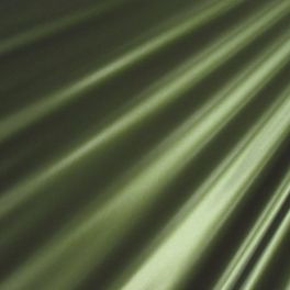 Olive Iridescent Vinyl